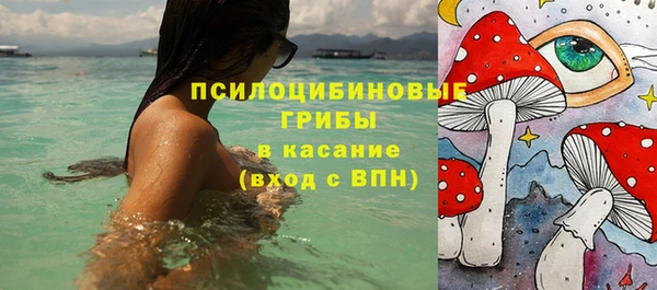 а пвп мука Ветлуга