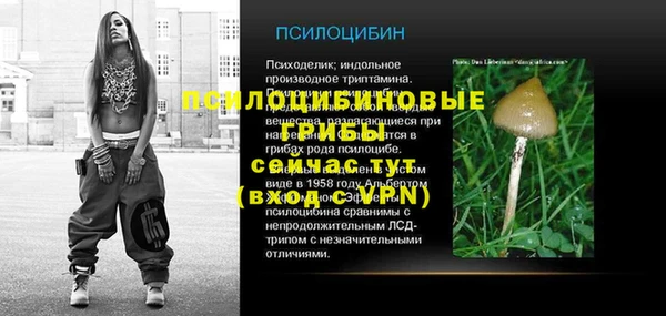 хмурый Козловка