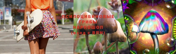 хмурый Козловка