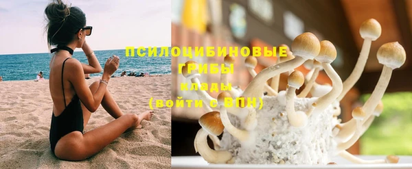 хмурый Козловка